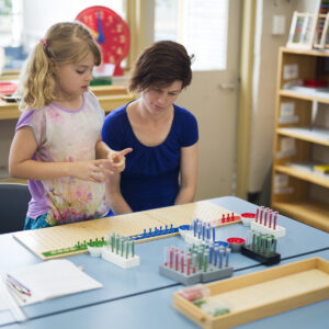 Montessori Partners Serving All Children: An Outreach Initiative Of The Montessori Center Of Minnesota